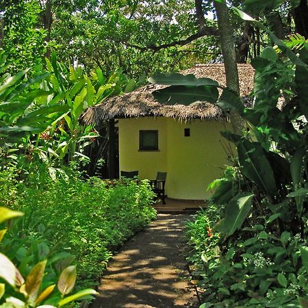 Moivaro Coffee Plantation Lodge Arusha Exteriér fotografie