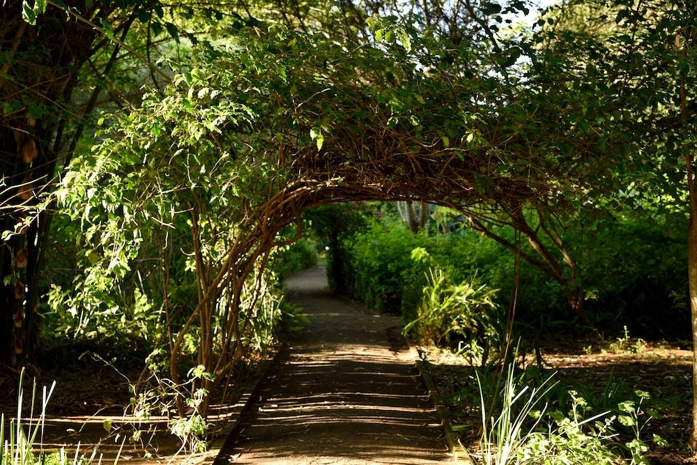 Moivaro Coffee Plantation Lodge Arusha Exteriér fotografie